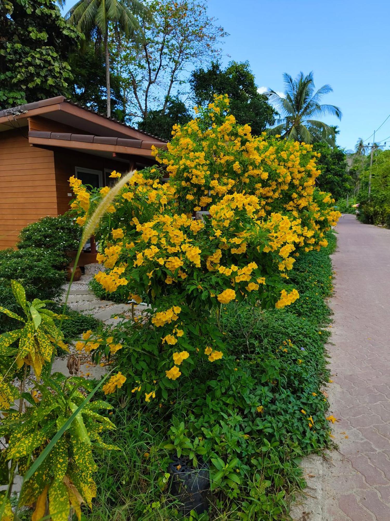 Mook Paradise Bungalow Koh Mook Exterior photo